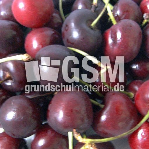 Kirschen-gross.jpg